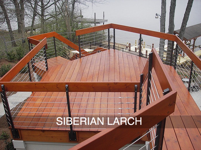 Siberian Larch decking